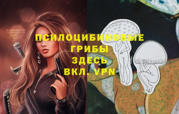 apvp Беломорск