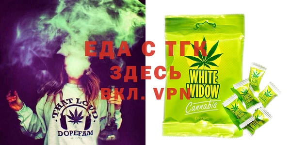 твердый Сясьстрой