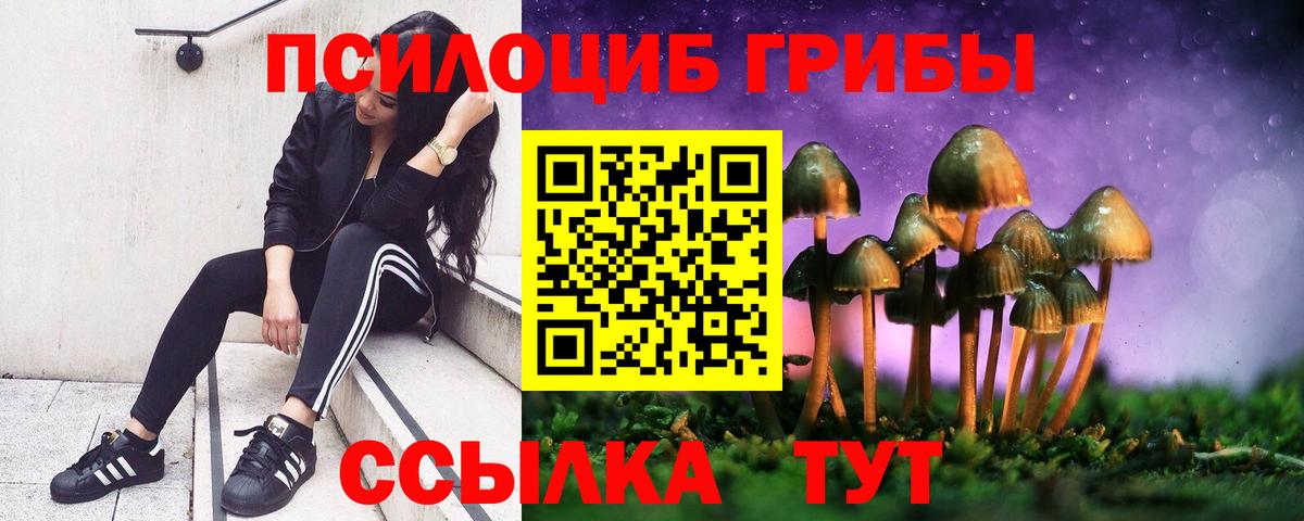 Псилоцибиновые грибы Psilocybine cubensis Верхняя Пышма