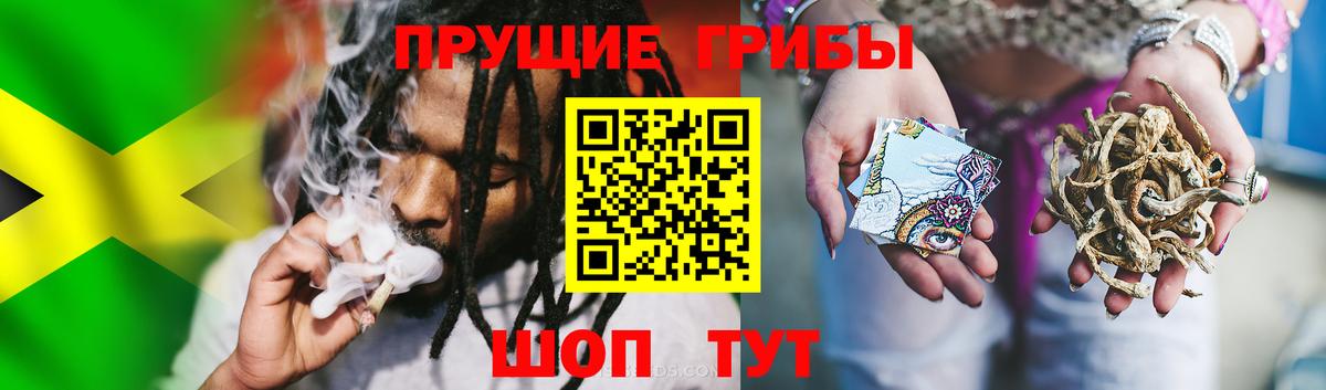 Галлюциногенные грибы Psilocybine cubensis Верхняя Пышма